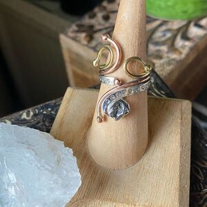 Meteorite Campo Del Cielo Two Toned Art Deco Ring